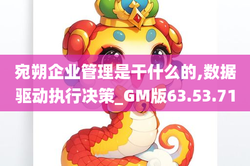 宛朔企业管理是干什么的,数据驱动执行决策_GM版63.53.71