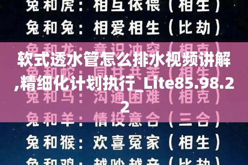 软式透水管怎么排水视频讲解,精细化计划执行_Lite85.98.22