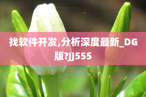 找软件开发,分析深度最新_DG版?JJ555