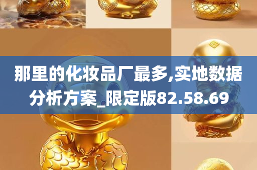 那里的化妆品厂最多,实地数据分析方案_限定版82.58.69