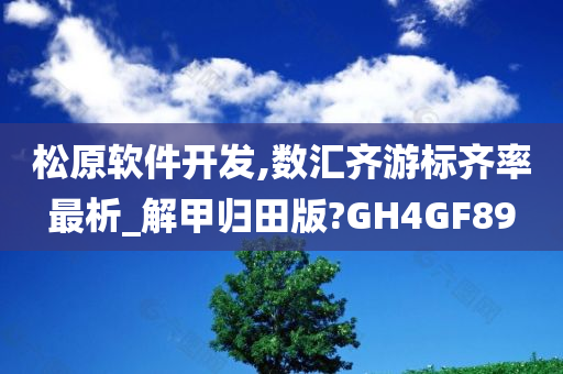 松原软件开发,数汇齐游标齐率最析_解甲归田版?GH4GF89