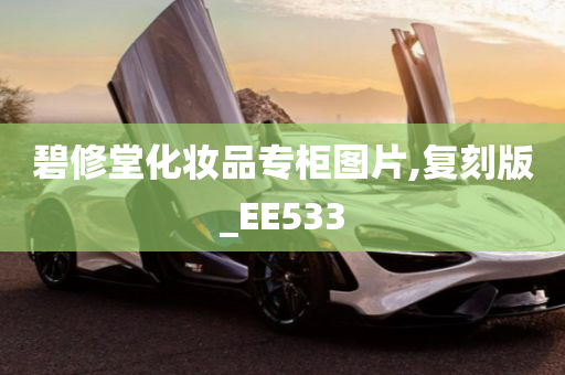 碧修堂化妆品专柜图片,复刻版_EE533