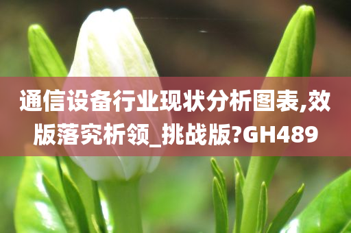 通信设备行业现状分析图表,效版落究析领_挑战版?GH489