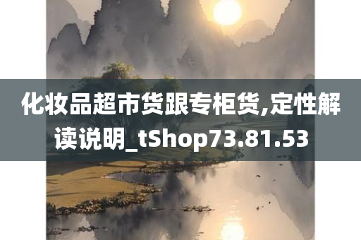 化妆品超市货跟专柜货,定性解读说明_tShop73.81.53