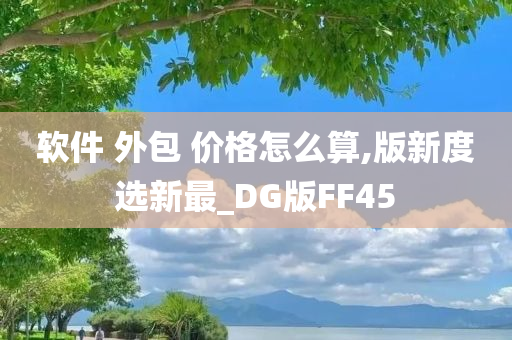 软件 外包 价格怎么算,版新度选新最_DG版FF45