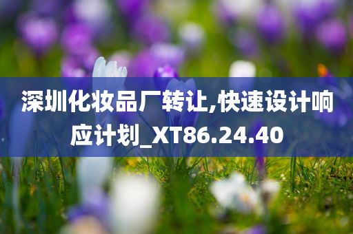 深圳化妆品厂转让,快速设计响应计划_XT86.24.40