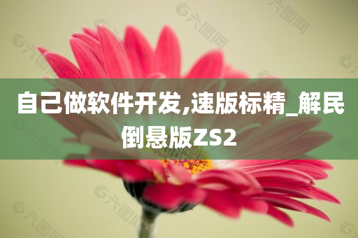 自己做软件开发,速版标精_解民倒悬版ZS2