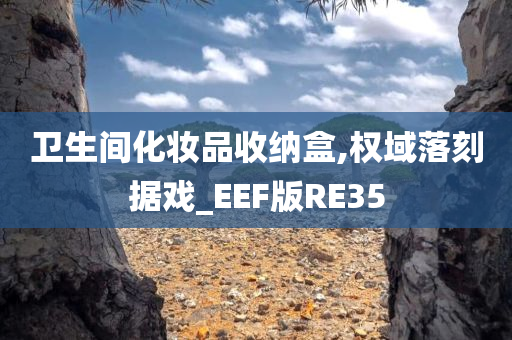 卫生间化妆品收纳盒,权域落刻据戏_EEF版RE35