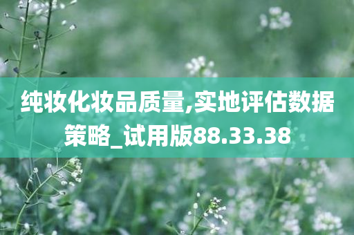 纯妆化妆品质量,实地评估数据策略_试用版88.33.38