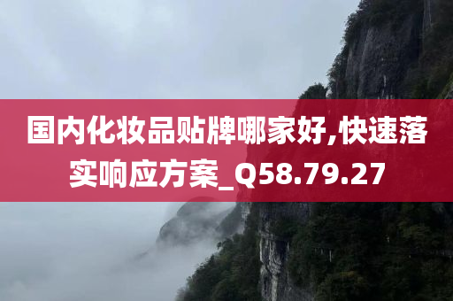 国内化妆品贴牌哪家好,快速落实响应方案_Q58.79.27