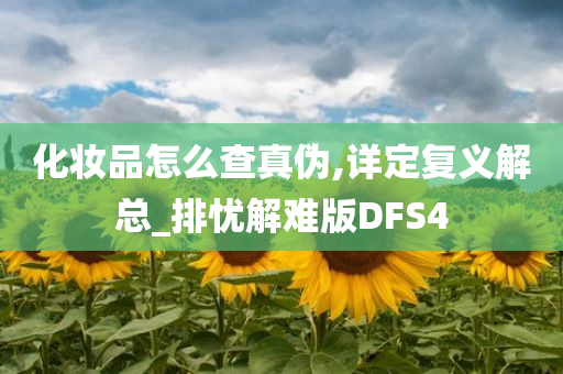 化妆品怎么查真伪,详定复义解总_排忧解难版DFS4