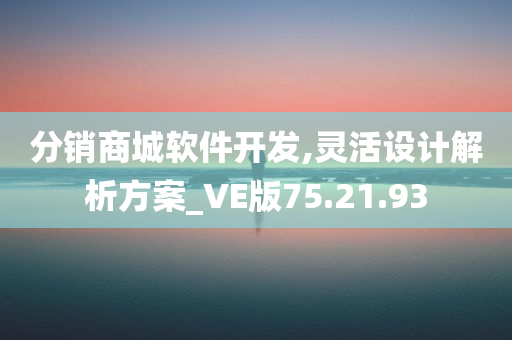 分销商城软件开发,灵活设计解析方案_VE版75.21.93