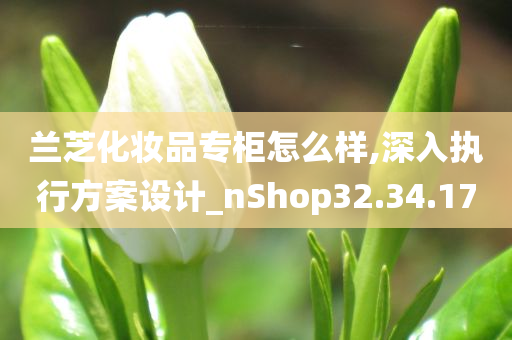 兰芝化妆品专柜怎么样,深入执行方案设计_nShop32.34.17