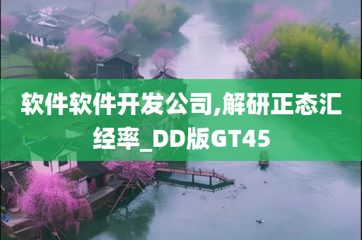 软件软件开发公司,解研正态汇经率_DD版GT45