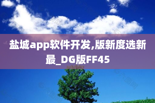 盐城app软件开发,版新度选新最_DG版FF45