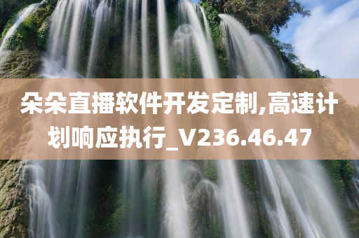 朵朵直播软件开发定制,高速计划响应执行_V236.46.47