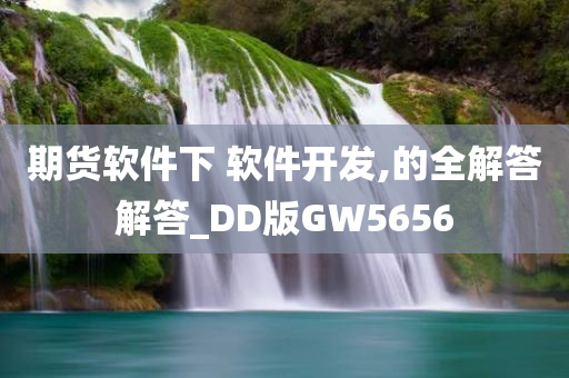 期货软件下 软件开发,的全解答解答_DD版GW5656