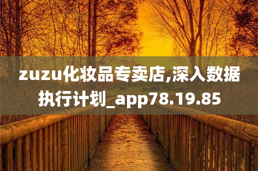 zuzu化妆品专卖店,深入数据执行计划_app78.19.85