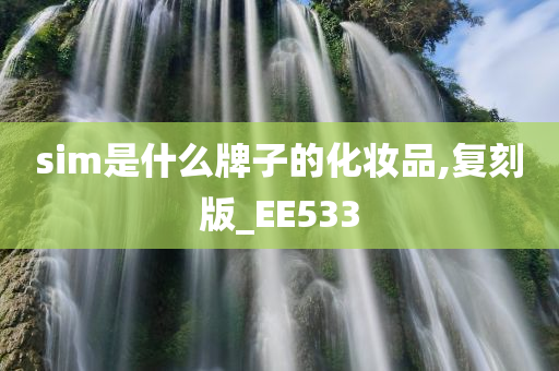 sim是什么牌子的化妆品,复刻版_EE533