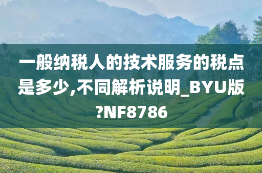 一般纳税人的技术服务的税点是多少,不同解析说明_BYU版?NF8786