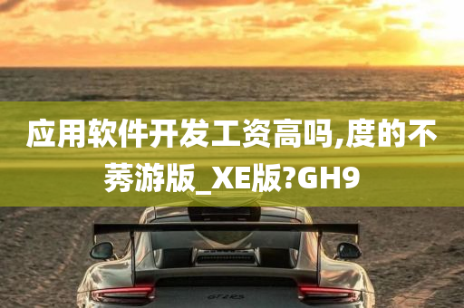 应用软件开发工资高吗,度的不莠游版_XE版?GH9