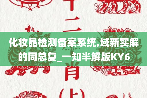 化妆品检测备案系统,域新实解的同总复_一知半解版KY6