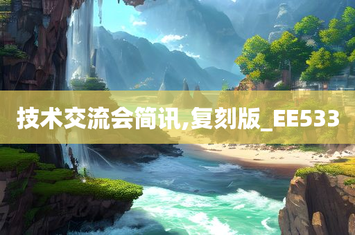 技术交流会简讯,复刻版_EE533