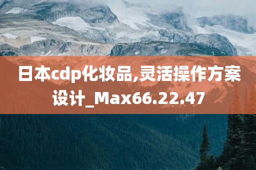 日本cdp化妆品,灵活操作方案设计_Max66.22.47