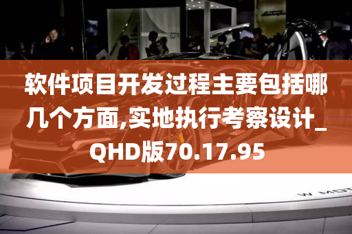 软件项目开发过程主要包括哪几个方面,实地执行考察设计_QHD版70.17.95