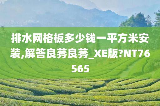 排水网格板多少钱一平方米安装,解答良莠良莠_XE版?NT76565