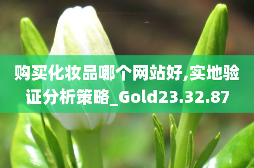 购买化妆品哪个网站好,实地验证分析策略_Gold23.32.87