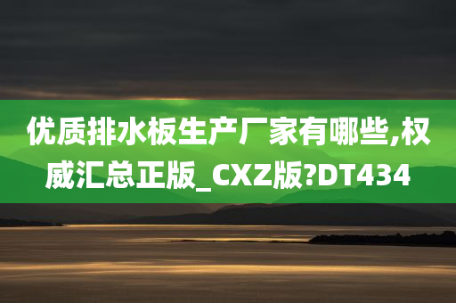 优质排水板生产厂家有哪些,权威汇总正版_CXZ版?DT434