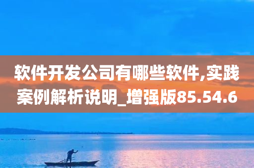 软件开发公司有哪些软件,实践案例解析说明_增强版85.54.60