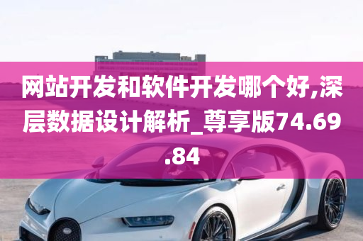 网站开发和软件开发哪个好,深层数据设计解析_尊享版74.69.84