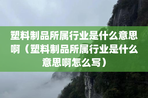 塑料制品所属行业是什么意思啊（塑料制品所属行业是什么意思啊怎么写）