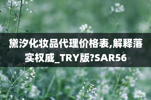 黛汐化妆品代理价格表,解释落实权威_TRY版?SAR56