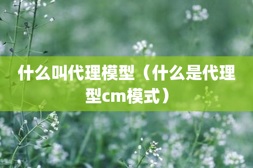 什么叫代理模型（什么是代理型cm模式）