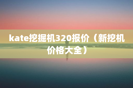 kate挖掘机320报价（新挖机价格大全）